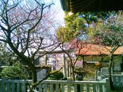 Happy̖k_ЁiV_j̍g~̓eʐ^1