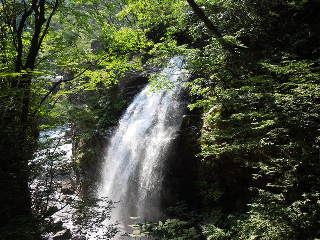 観山　虹の龍の滝登り 観山 虹の龍の滝登り 25516055427.jpg
