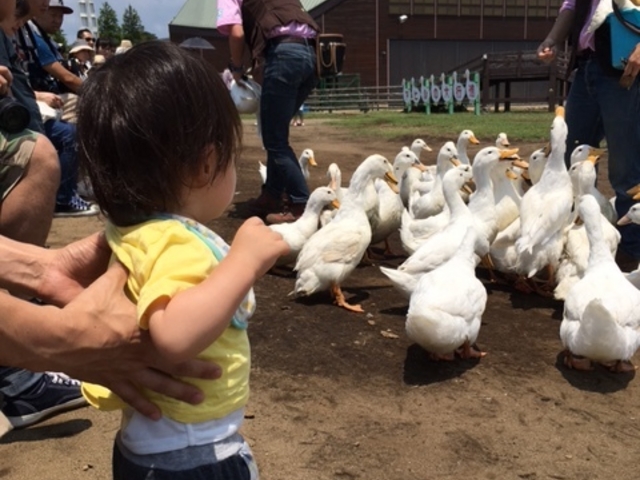 �A�q���̑�s�i�B_�}�U�[�q��