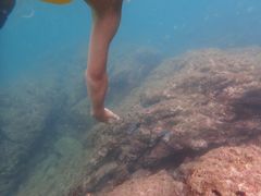 ߂̃XN[oT|[gT[rXTRYSւ̓eʐ^1