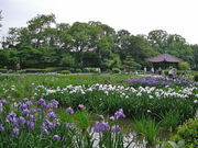 marimarȉkҊ̓eʐ^1