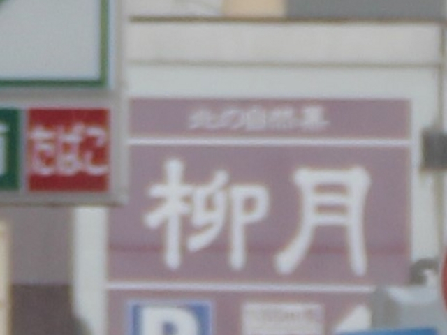 \˂̘V܂̐lCَq`F[_k̎R  X