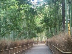 񂳂̒|т̓ւ̓eʐ^1