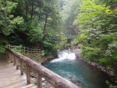 kichȋPܘY̑ւ̓eʐ^1