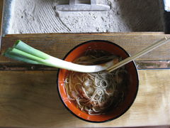 K񂳂̑h@OVւ̓eʐ^1