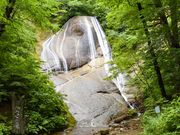 ݂䂫݂̂낭̑̓eʐ^1