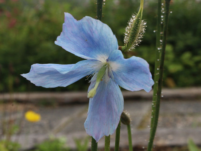 �q�}�����P�V_���n�ܗ����R�A����