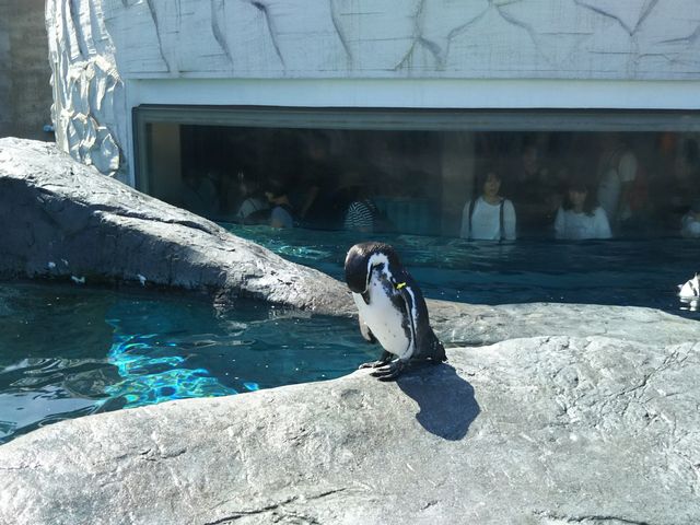 �y���M���i�O�W���j_���R������