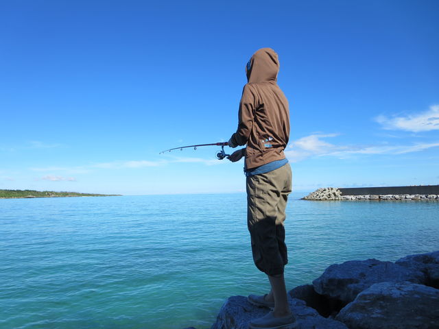 �C_�Ί_���T���Z�b�g�r�[�`