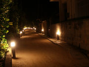 kijimunar̓n쓇̓eʐ^1