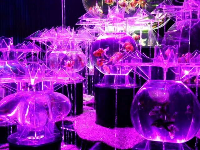 ������_���{���O��z�[��