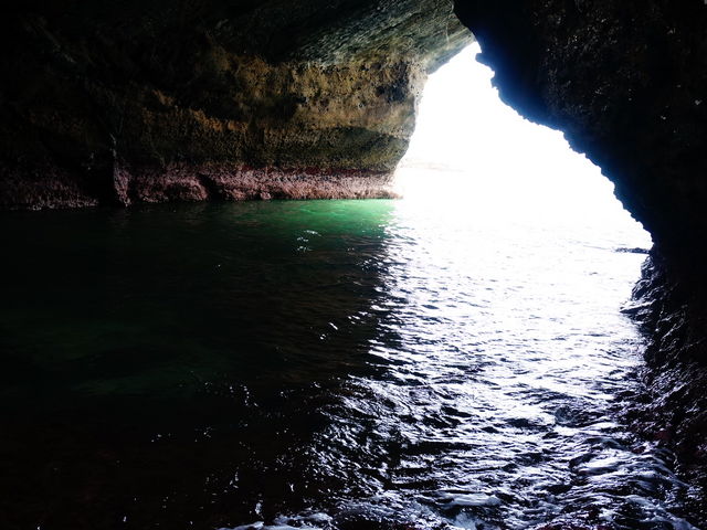 ���{�A_���{�A