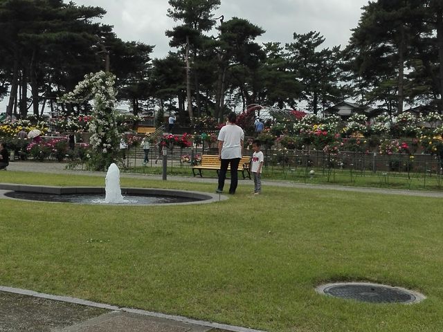 �Ϗ܂����łȂ�������y���߂܂��B_�~�������΂牀