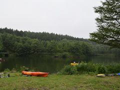 ۂ񂽂̃ThEY@EXL[ւ̓eʐ^1