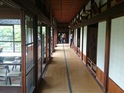 ꂨ񂳂℟≀̓eʐ^1