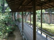 ꂨ񂳂℟≀̓eʐ^3