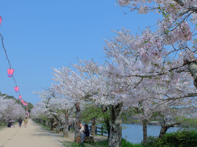 ^ȋɍF悭fĂ܂_Tߌ