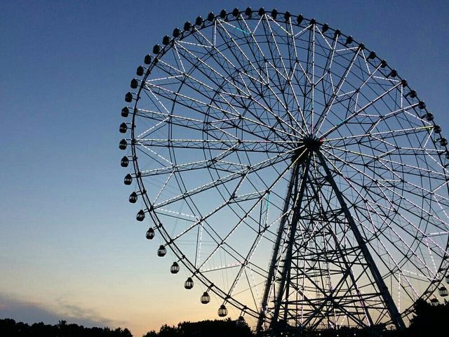 �_�C���ƉԂ̑�ϗ���