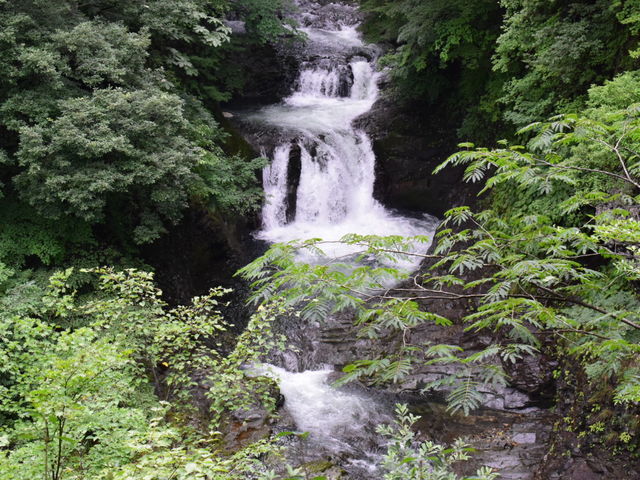 �Ȃ��Ȃ������ł���_�P�l�\����