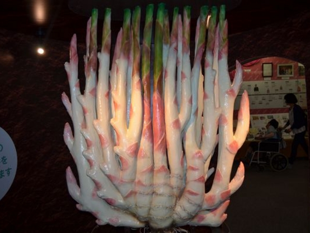 VEK̃IuWF_≺̐VI~[WA