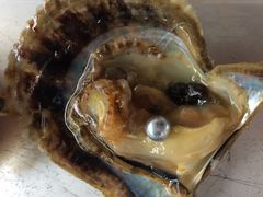 Ȃ̐^H[@^̗ւ̓eʐ^1