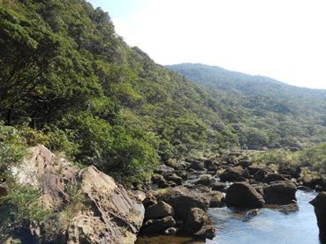 �R_�Y����V���D