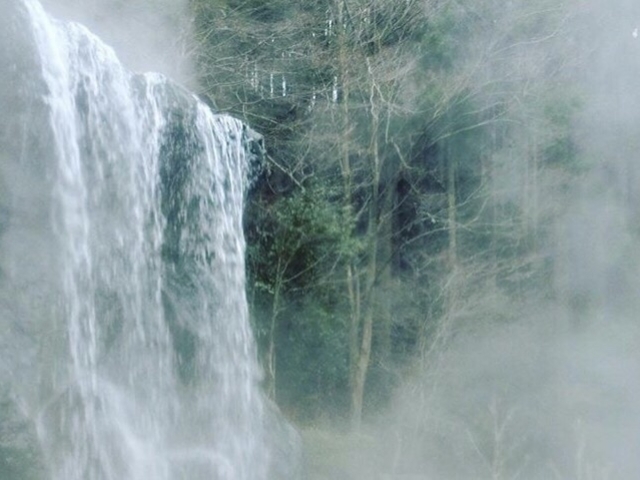 񂿂񂳂̃tbVp[Nނ̓eʐ^1