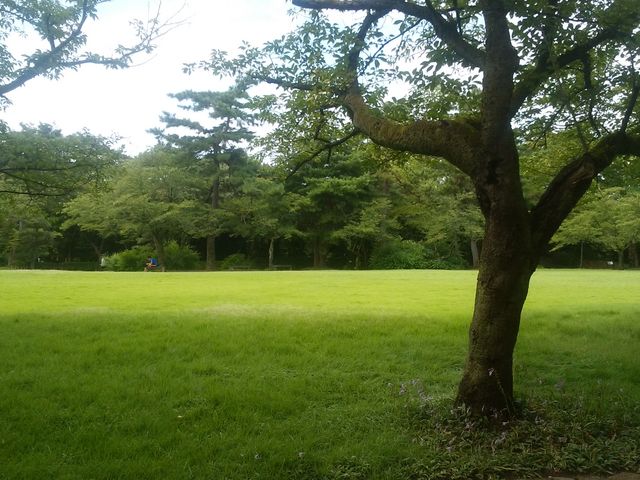 �Ő��L��_�����Ï�����i��Ձj