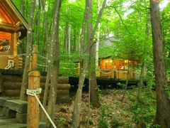 |R̃VbsO[hujOeXvւ̓eʐ^1