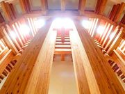 񂿂񂳂̖؂̓a̓eʐ^1