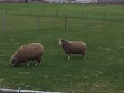 ݂񂳂̗ruXgnEX̓eʐ^1