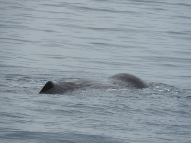 ������ɂ��������Ȃ�_�L����Вm���l�C�`���[�N���[�Y