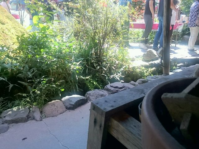 ���V���̒�����ł��܂��B_�����R��