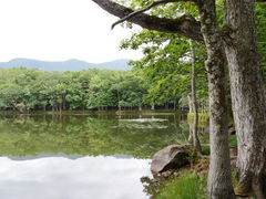 ˂̂ۂ͂ۂ́ijmlC`[ItBXւ̓eʐ^1