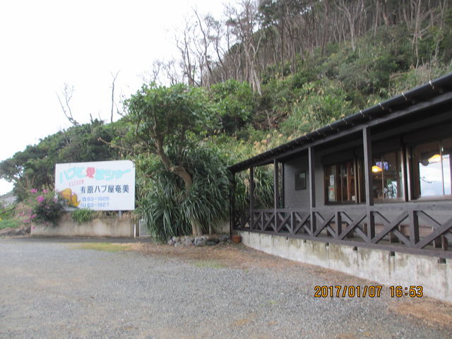 ���H�̌������͊C_���n�u������