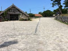 ~î₿ނ̗ւ̓eʐ^1