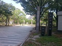 �܂�܂���̓V�_���������ւ̓��e�ʐ^1