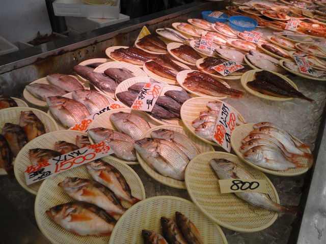 �V�N�ȋ���ނ������ς�_���̉w ���炢