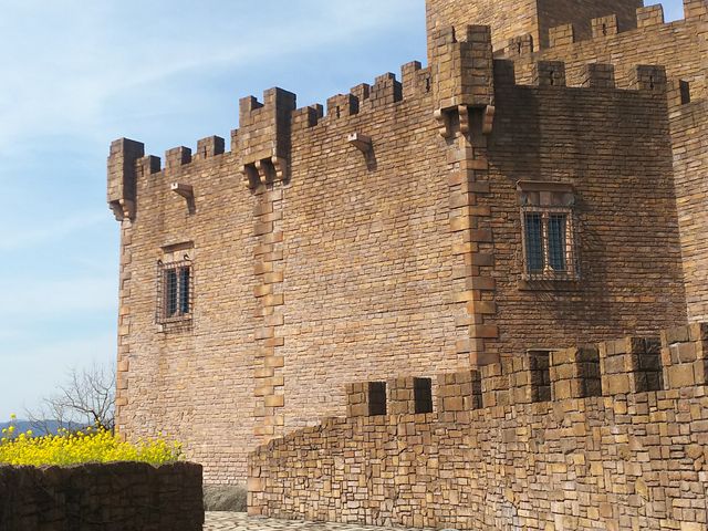 �O���̂悤_�u���X�y�C�����p���P�G�X�p�[�j��