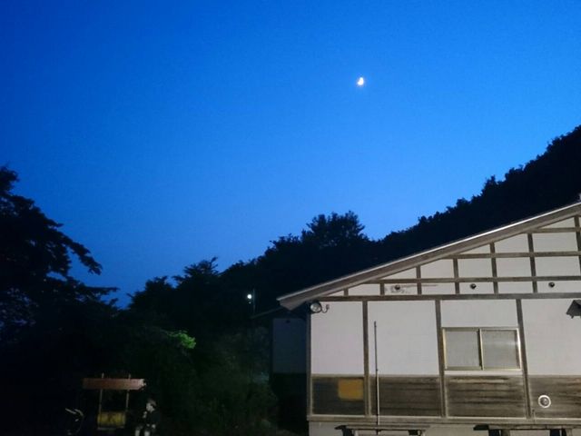 ��̋ʔT��_�ʔT��