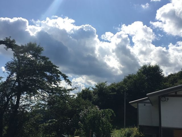 ���ꂽ���̋ʔT��_�ʔT��