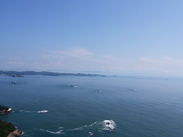 ���������������I_�����M�C���p���O���C�_�[�̌�