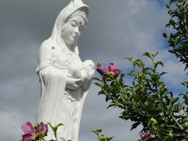 ωl̗D`Ă܂_₷炬̋ÑHÑ