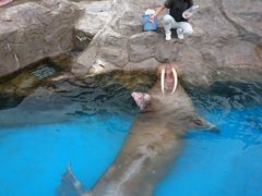 ̓mr[`h&mቤւ̓eʐ^1