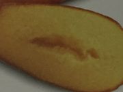 }񂳂̃AEVpeBG {ߓSX̓eʐ^1