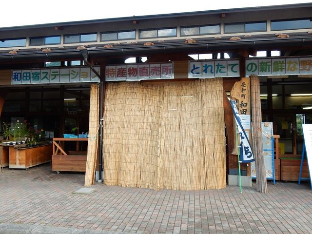 w-masa̘achXe[VY̓eʐ^1