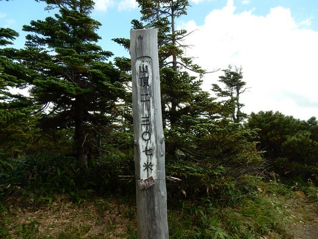 ����R�R���W��2307��_�u�ꍂ������R�R��