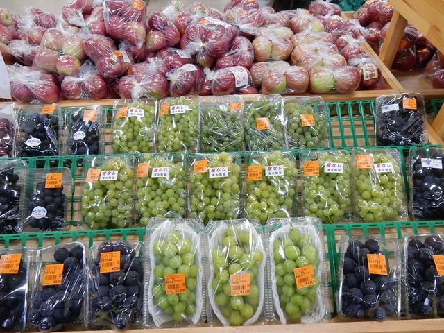 �u�h�E�A�����S_�t�@�[�}�[�Y�����`��