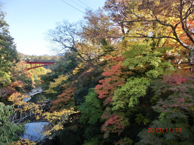 �����̍g�t_����