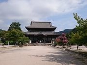 ���񂿂�񂳂�̎��h�������̓��e�ʐ^1